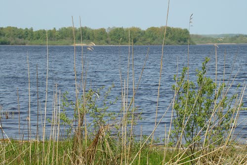 Høringssvar til Region Syddanmarks råstofdebatoplæg fra Danmarks Naturfredningsforening Aabenraa Afdeling